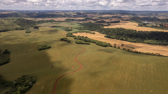Aerial view of oat fields