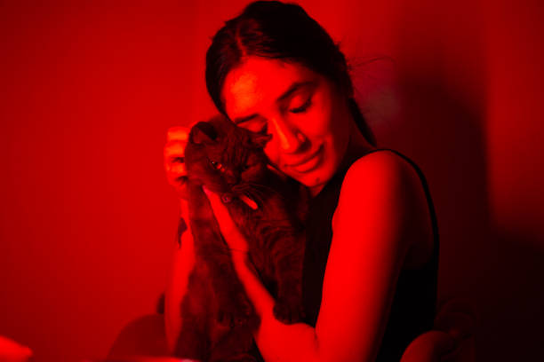 Cat lying with young teen girl on a bed