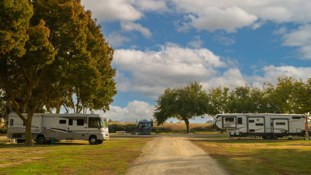 istock Camping at campsite cloudy skies and under trees 1443946335