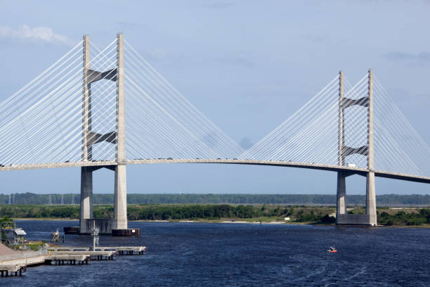 istock Jacksonville City Cable Bridge 1443954139