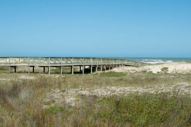 istock Photograph of a deck on the beach 1443958448