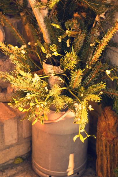 istock Christmas decoration with fir branches and mistletoe 1443961783