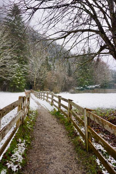 chemin entre les champs. le chemin est clôturé avec une clôture en bois des deux côtés. un sentier pédestre saupoudré des premières neiges. une clôture en bois sur toute la longueur du sentier pédestre en hiver. - footpath european alps fence woods photos et images de collection