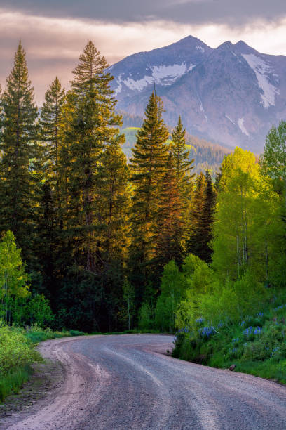 The Kebler Pass gravel road in the mountains of the Gunnison National Forest in Colorado
