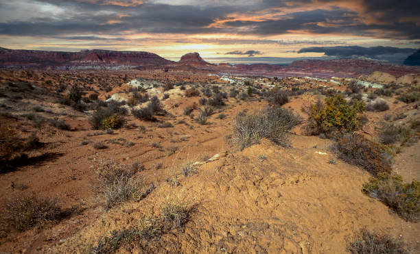 istock Canyonlands Vistas 1443980859