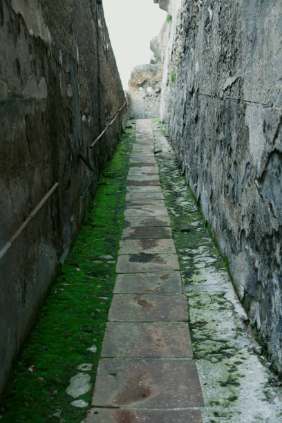 고고학 부분 헤르쿨라네움 - circa 1st century color image vertical male 뉴스 사진 이미지