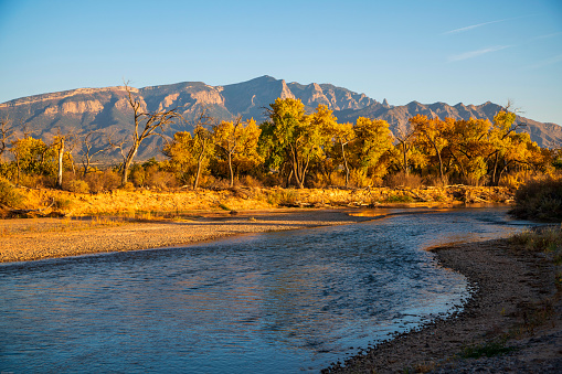 The Rio Grande River runs through Albuquerque, NM with the autumn Cottonwood trees rich with color and the Sandia Mountains stand tall in the background.