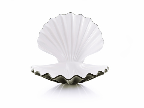 Open black colored sea shell on white background. Horizontal composition with copy space. Front view. Luxury concept.