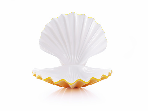 Open Yellow Colored Sea Shell On White Background