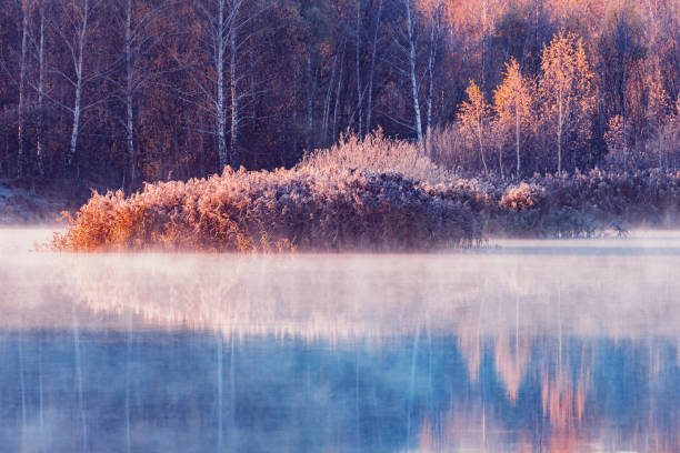 istock Fog above the lake surface at autumn morning. 1443991905
