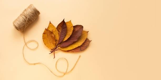 istock Autumn background in pastel colors with dry leaf and jute thread,large banner. 1443999980
