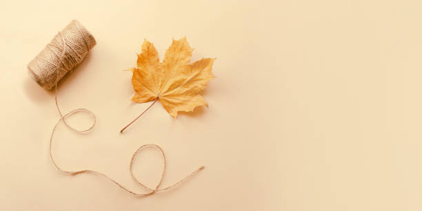 istock Autumn background in pastel colors with dry leaf and jute thread.Large banner with copy space. 1443999988