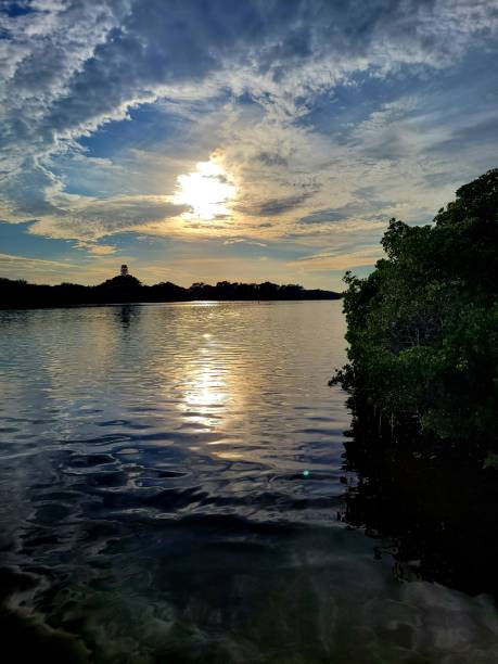 istock Blue sky greenery and sun reflecting on water 1444001895