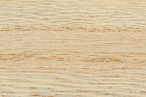 Texture of wood background closeup