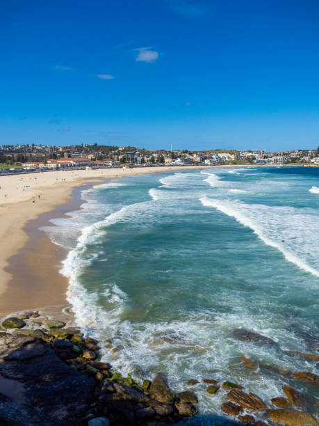 istock Bondi Beach in November 1444015887