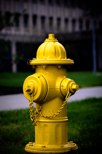Yellow fire hydrant on garden