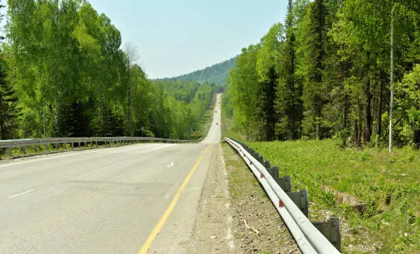 Panoramic shot of a straight asphalt road with markings and guardrails descending into a log in a dense forest on a summer day. Teletsky tract, Altai, Siberia, Russia.