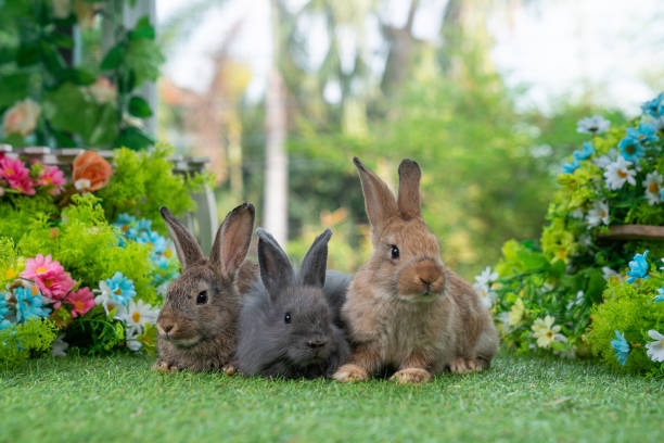 istock Little cute rabbit sitting on the grass. 1444034411