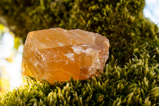 A close up image of a large honey calcite crystal resting of thick green moss.