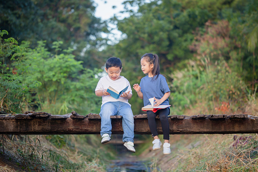 Cheerful children sitting on wooden bridge, Asian kids playing in garden, boy and girl reading books