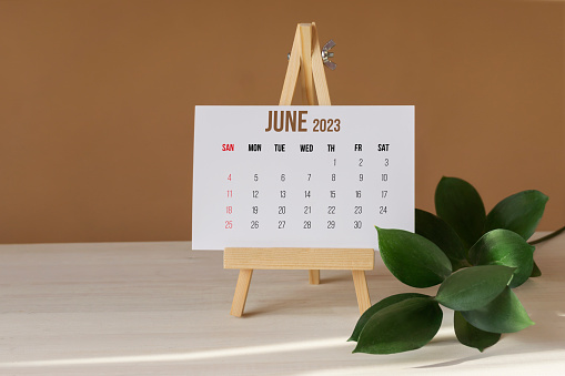 Calendario para el mes de junio de 2023. La hoja de calendario de escritorio para recordatorios y planificación para todo el mes está en la mesa junto a la rama verde. Concepto de Año Nuevo photo