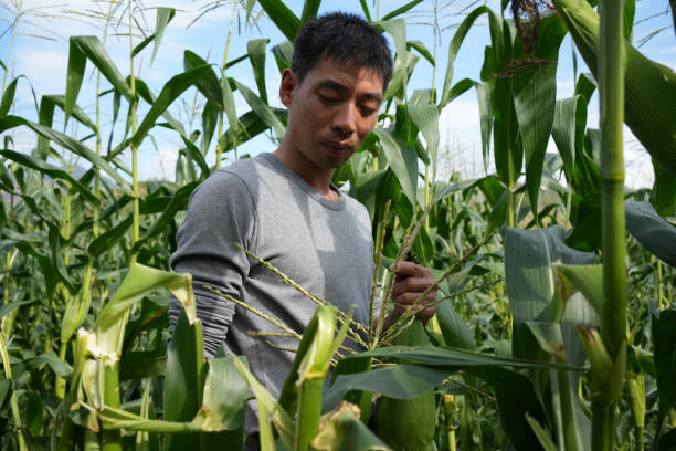 istock farmer working in the field 1444040863