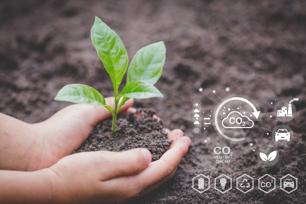 istock Technology environment, Hand planting trees with technology of renewable resources to reduce pollution ESG icon concept in hand for environmental, social and sustainable business governance. 1444043283