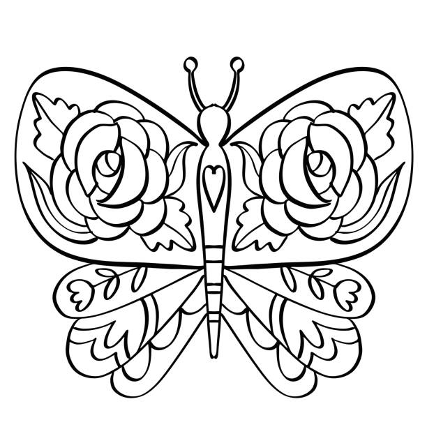 Decorative butterfly line art drawing illustration vector art illustration