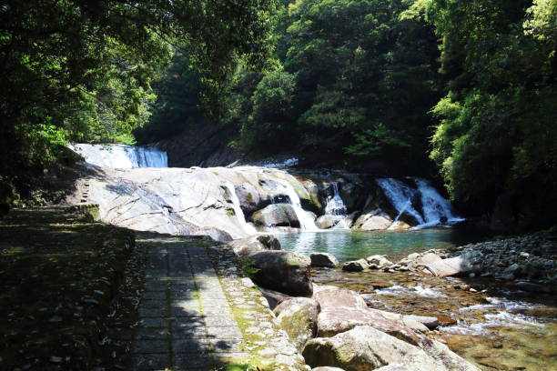 istock Scenery of Todoroki Falls in the forest 1444057862