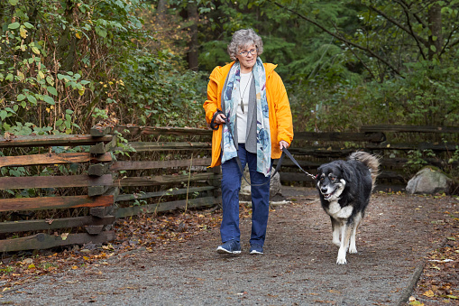 Mature woman wearing a yellow jacket walking her dog on a leash along a footpath in a forest
