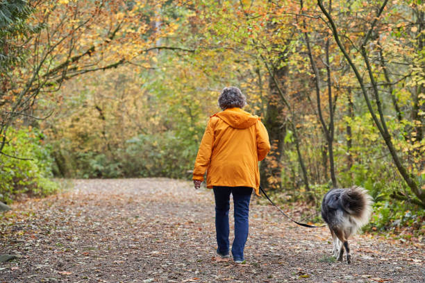 istock Woman taking her dog for a walk through a forest in autumn 1444059231