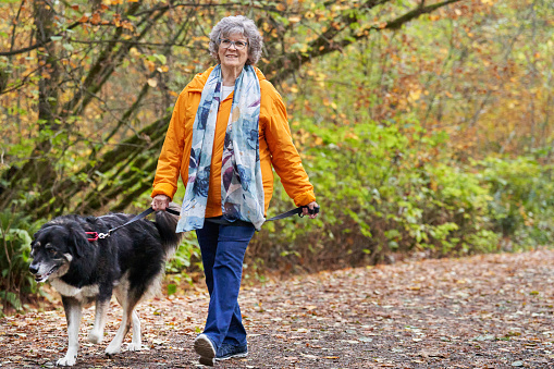 Smiling mature woman wearing a yellow jacket walking with her dog on a leash along a path in the woods in autumn