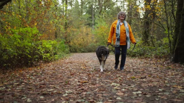 Smiling woman and her dog walking in a forest in autumn