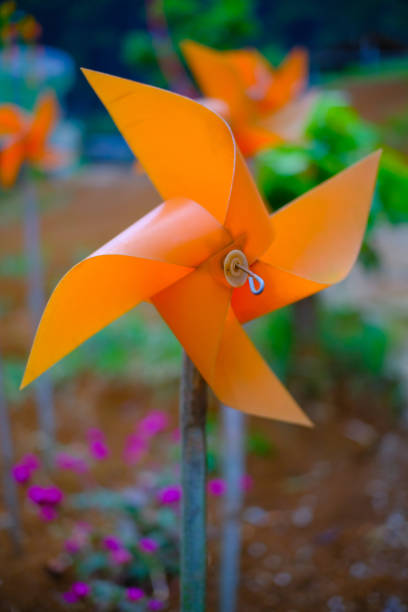 istock Yellow-orange pinwheel adorns Zandea park 1444062974