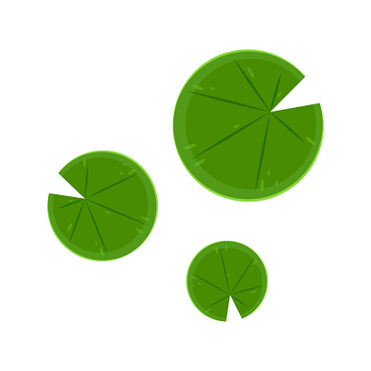 Lily Pad Icon Lily Cartoon Vector On White Background Stock