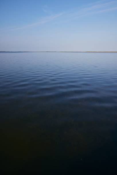 istock Vertical shot of calm water and a blue sky background 1444064433