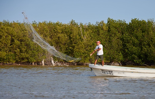– January 19, 2021: A Fisherman on his boat throwing the net in Rio Lagartos, Yucatan, Mexico