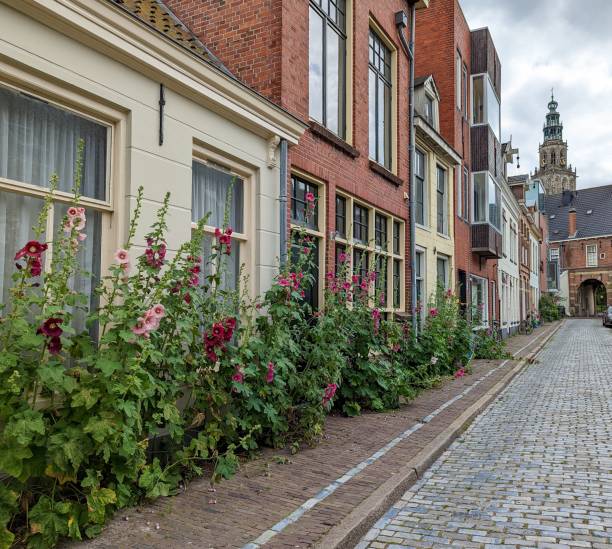istock typical row of houses in Groningen Netherlands 1444065329