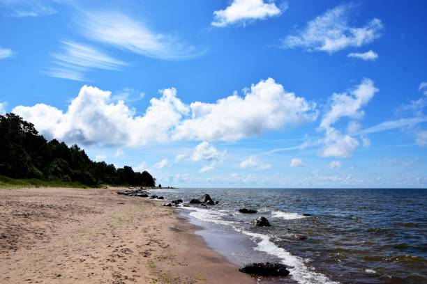 istock Wet rocks on the shoreline under blue cloudy sky 1444067560