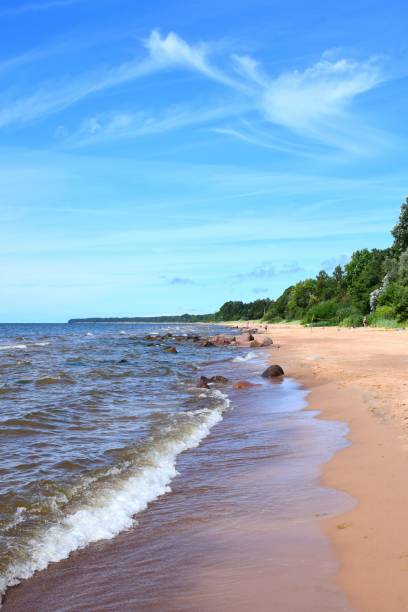 istock Vertical shot of a beach with trees in the background under blue sky 1444067672