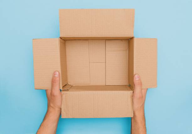 istock Male hands presenting an opened carton package without content by touching the side wings of the box 1444067764