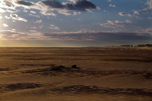 istock Beautiful shot of a sandy beach under the cloudy sky 1444069017