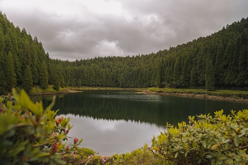 Mesmerizing view of lake Lagoa das Empadadas surrounded by green pine forest, located on Sao Miguel, Azores, Portugal on cloudy day