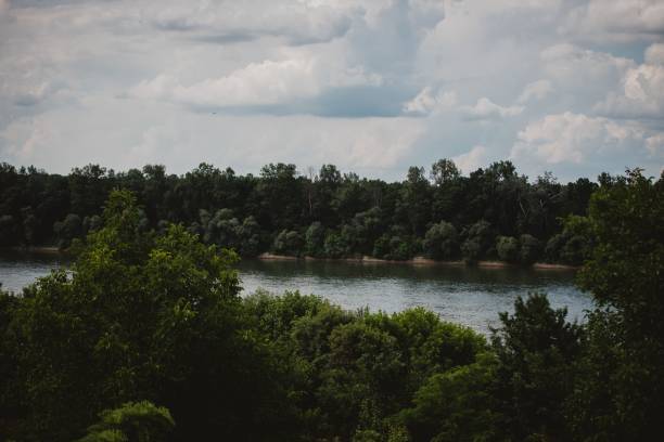 istock Natural view of a calm lake and thick forest under a cloudy sky 1444069667