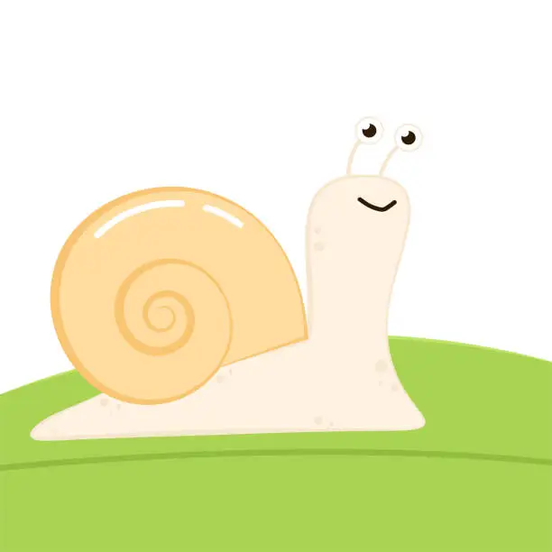 Vector illustration of Snail vector. Snail on green leaf. Snail cartoon vector.