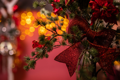 Pine branch decorated  with red ribbon for Christmas on a deep pink background with lights, colse-up