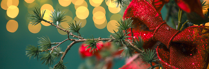 Pine branch decorated with red ribbon for Christmas on a green background with lights, close-up