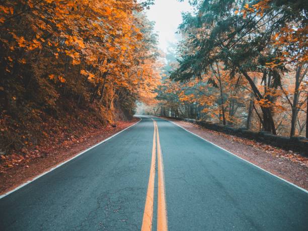 istock Asphalted road surrounded by nature in fall colors 1444072174