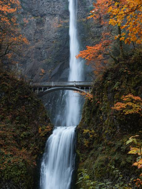 istock Vertical shot of a waterfall and bridge surrounded in fall colors 1444072178