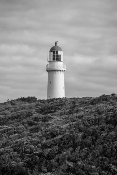 istock Vertical shot of white lighthouse surrounded by growing trees in black and white 1444073108